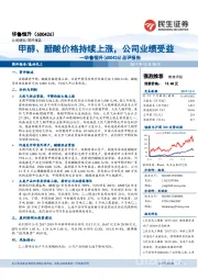 点评报告：甲醇、醋酸价格持续上涨，公司业绩受益