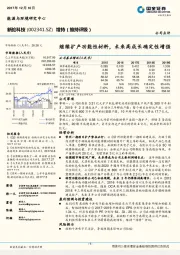 继续扩产功能性材料,未来高成长确定性增强