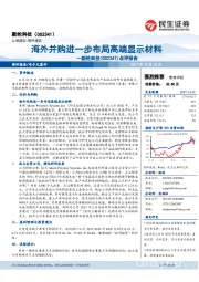 点评报告:海外并购进一步布局高端显示材料