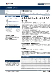 山东西部扩张加速，收购维克再下一城