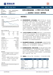 调研简报：竞争加剧增速放缓，工巧预计2019年放量