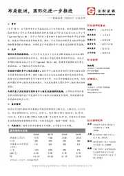 公告点评：布局欧洲，国际化进一步推进