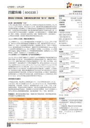避免铁矿石悲剧重演,西藏珠峰发起要约收购“锂中东”顶级资源