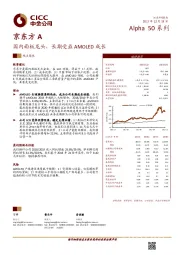 国内面板龙头,长期受益AMOLED成长
