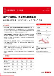 全产业链布局，危废龙头地位稳固