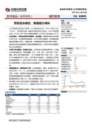 夯实龙头地位，新品助力成长