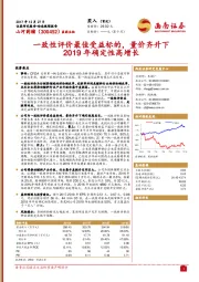 一致性评价最佳受益标的，量价齐升下2019年确定性高增长