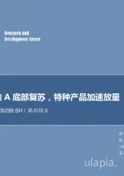 跟踪报告:蛋氨酸与维A底部复苏,特种产品加速放量
