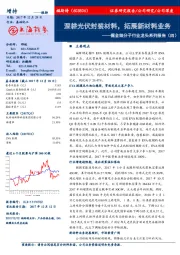 掘金细分子行业龙头系列报告（四）：深耕光伏封装材料，拓展新材料业务