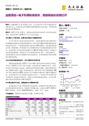 定增落地+电子车牌标准发布，物联网成长空间打开