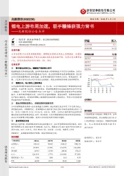 兆新股份公告点评：锂电上游布局加速，联手赣锋获强力背书