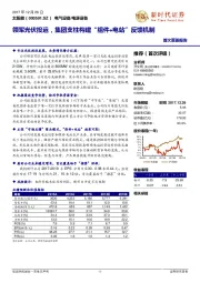 领军光伏投运，集团支柱构建“组件+电站”反馈机制