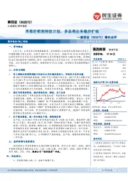 事件点评:再推经销商持股计划,多品类业务稳步扩张
