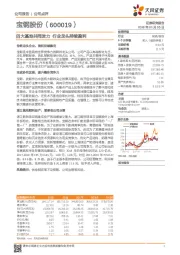 四大基地共同发力 行业龙头持续盈利