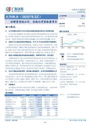 拟增资老挝公司，实施化学浆配套项目