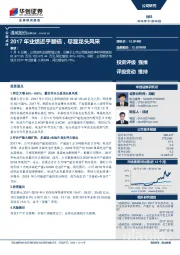 2017年业绩近乎翻倍，尽显龙头风采