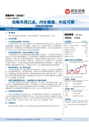 国瓷材料调研简报：战略布局已成，内生稳健、外延可期