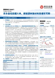 获多晶硅脱硼大单，新能源树脂材料高增长可期