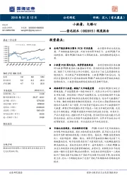 深度报告：小批量，大雄心