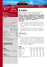 深耕三农县域，关注资产质量改善趋势