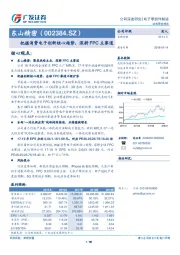 把握消费电子创新核心趋势，深耕FPC主赛道