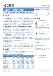 2017年业绩预增，产品盈利随行业景气提升