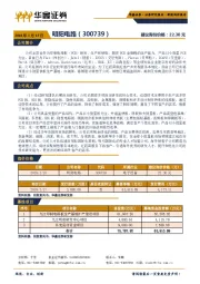 新股询价报告：明阳电路