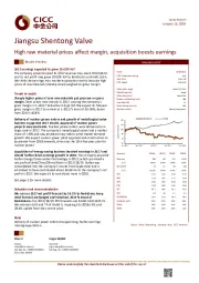 High raw material prices affect margin, acquisition boosts earnings