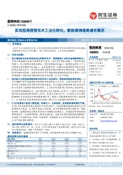 实现盐湖提锂技术工业化转化，新能源领域高增长确定