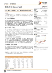 2018看PTA超预期，2019看文莱炼油项目贡献