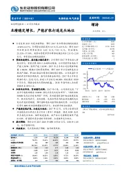 业绩稳定增长，产能扩张打造龙头地位