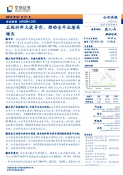 正极材料大放异彩，推动全年业绩高增长