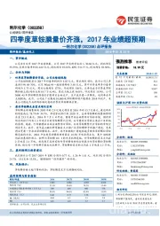点评报告:四季度草铵膦量价齐涨,2017年业绩超预期