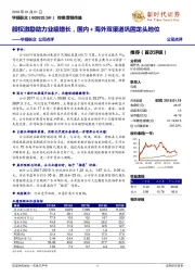 股权激励助力业绩增长，国内+海外双渠道巩固龙头地位