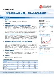 物联网表快速放量，海外业务值得期待