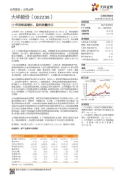 17年持续高增长，盈利质量优化