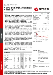 内生外延增长兼具看点 多层次激励保障可持续发展