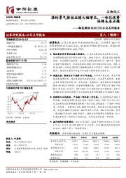 公司点评报告：涤纶景气推动业绩大幅增长，一体化优势保障未来业绩