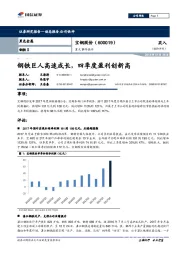 重大事件快评：钢铁巨人高速成长，四季度盈利创新高