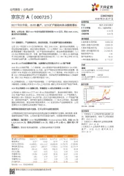 2017年大丰收，OLED量产、LCD扩产驱动未来业绩高增长