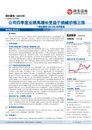 点评报告:公司四季度业绩高增长受益于烧碱价格上涨