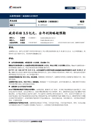 重大事件快评：政府补助3.5亿元，全年利润略超预期