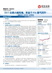 点评报告：2017业绩大幅预增，受益于PTA景气回升