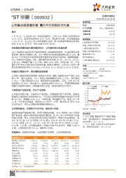 公司基本面显著改善 量价齐升实现扭亏为盈