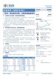 家居、商用稳步发展，业绩保持稳健增长