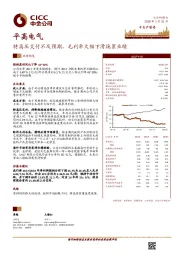 特高压交付不及预期，毛利率大幅下滑拖累业绩