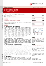 兄弟科技公告点评：多元化发展进一步推进