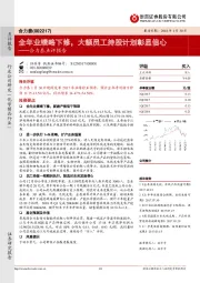 合力泰点评报告：全年业绩略下修，大额员工持股计划彰显信心