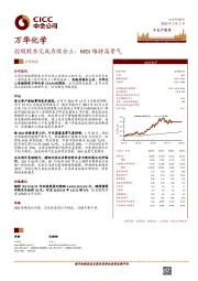 控股股东完成存续分立，MDI维持高景气