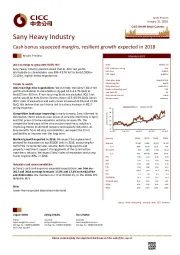 Cash bonus squeezed margins, resilient growth expected in 2018